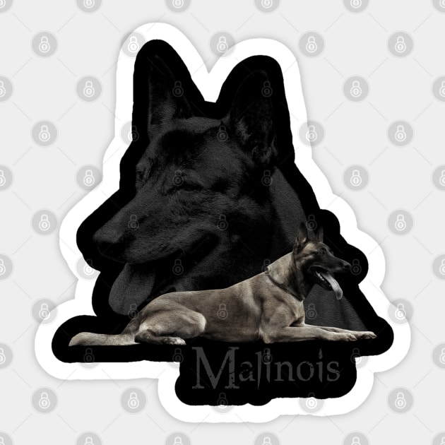 Malinois  - Belgian shepherd - Mechelaar Sticker by Nartissima